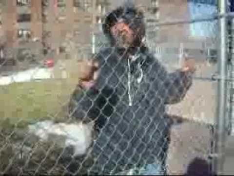 2011-NEW - Ldonn- Laying Down My Thoughts Video-vegadavillain Beat