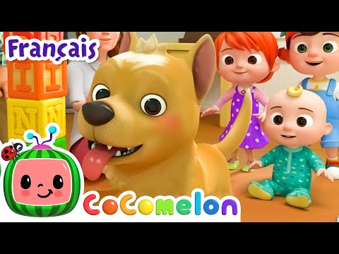 BINGO | CoComelon en Français | Chansons pour bébés
