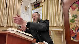 פרשת תרומה תשפ"ו | הרב צבי חלמיש שליט"א | אור החיים