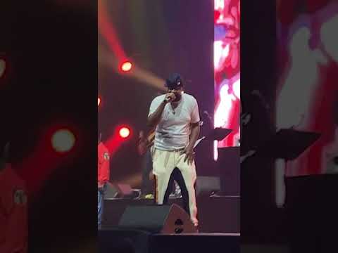 Wu-Tang Clan (Ghostface Killah & Cappadonna) - Ice Cream live @WienerStadthalle
