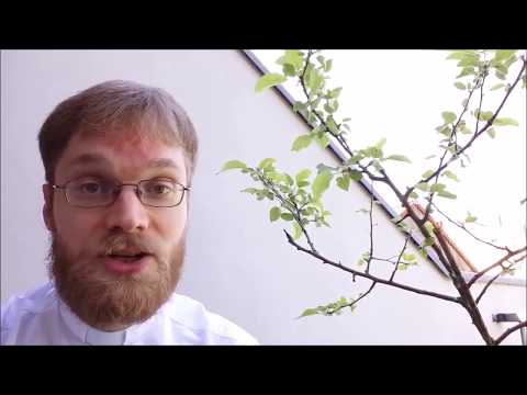 Wochenimpuls vom 29.05.2017