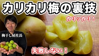 【梅農家の裏技】一番簡単にカリカリ梅を作る方法。失敗なし！カリカリな仕上がり！