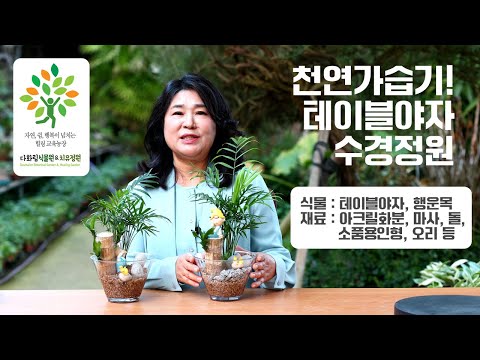 담양 다화림식물원&치유정원 천연가습기! 테이블야자 수경정원