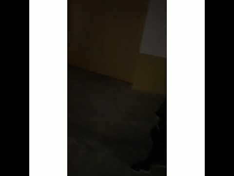 KELLDRILL440- NO LO VAMOS A PERMITIR #spanishdrill #drill