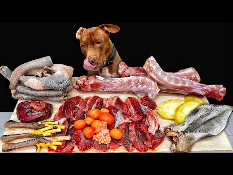 BEST DOG ASMR PITBULL EATING RAW FOODS