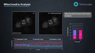 TomoAnalysis 2.0 | Advanced 3D Quantification SW for Holotomography by Tomocube 토모큐브