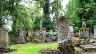 Lord Ronald  -  Ronnie Browne