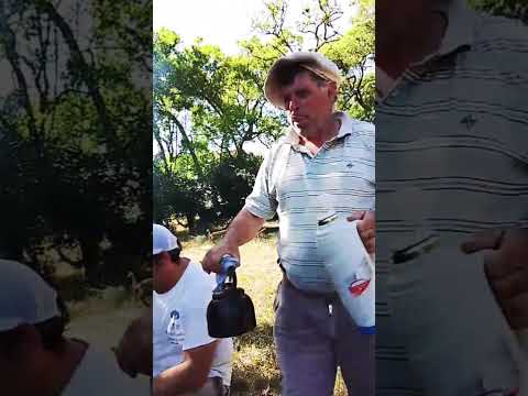 Gral Lavalle Estancia la Isolina. #salvajes #travel #naturaleza#campo#estancia