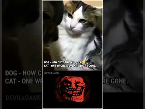 Troll face meme | sigma mother cat | sorry for late | #popular #cat #trollface #shorts