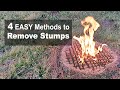 How To Remove Tree Stumps 4 EASY DIY Methods