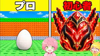 『レア度が逆になった世界』のディバイン卵を盗むロブロックス..【ROBLOX】