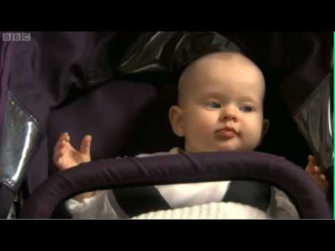 That Mitchell and Webb Look - Family