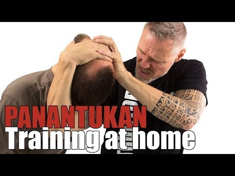 Panantukan - Parry Serie Basics 13 Entry Application 07 with Cover (SAMICS Daily Training)