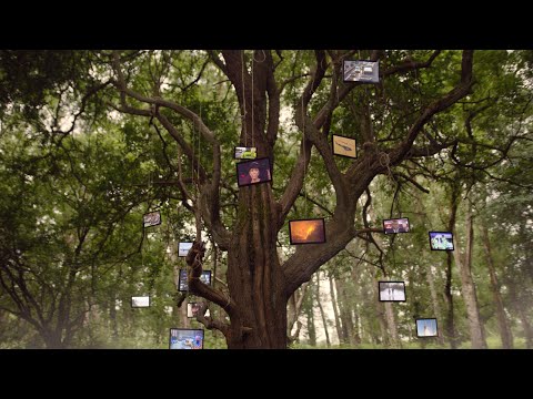 Our stories are your stories #OurStories