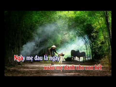 vì con karaoke tone nữ