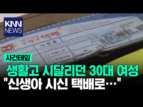 아이콘