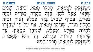 מסכת נגעים פרק ה משנה ה