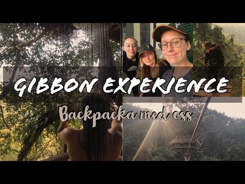 download lagu mp3 mp4 Gibbon Tom VI, download mp3 Gibbon Tom VI free download, download mp3 Gibbon Tom VI