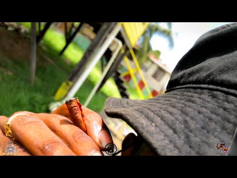 Dvgga - Nu Beg Funto - [ Prod By. Dvgga ] Official Video