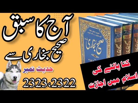 Kutta Palne Ki Islam Mein Ijazat | abidhussainkk