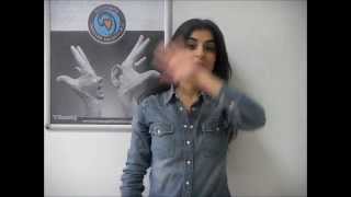 KARABAGLAR IEK VIDEO