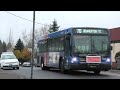 Buses MAX In Portland 4