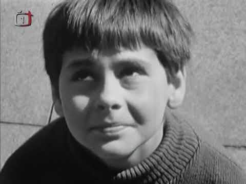 Kamarádi 01 - Jak to začalo