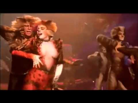 ~ Where them Cats at ? ~