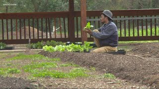 With available farmland quickly diminishing around Charlotte, one group is fighting to save it