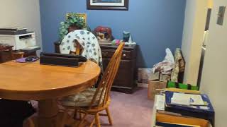 Tudor Glen 2 bedroom Condo in St Albert