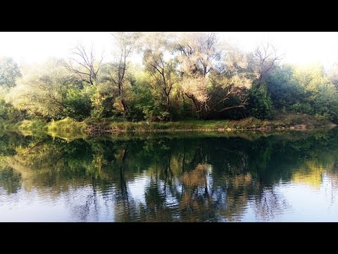 Paul Mauriat - Love is Blue