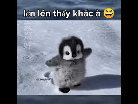 các con vật lúc nhỏ 😆