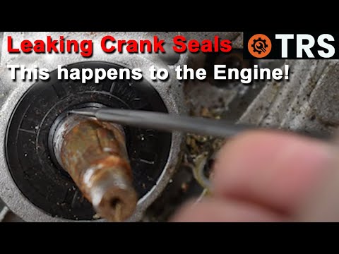 Main Crank Seals causes this 2-Stroke BOG DOWN symptom!  (by Craig Kirkman)