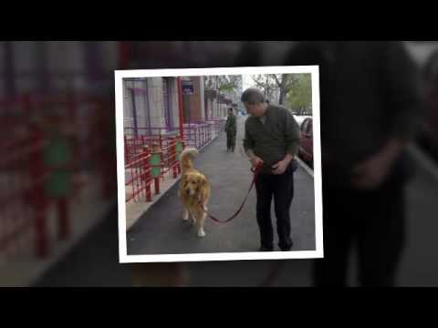 In memoriam Emil Hossu.avi