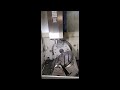 Video abspielen