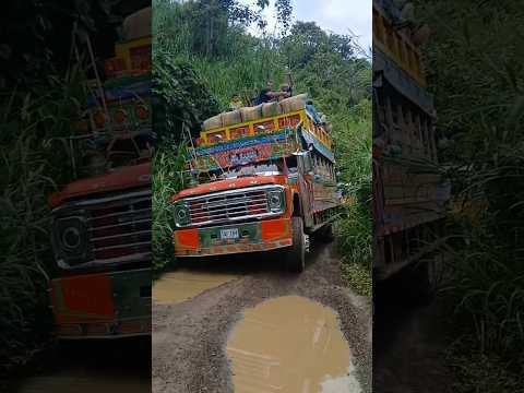 las dificultades de la chiva el gamin en el municipio de Betulia Antioquia #campo #chivas #café