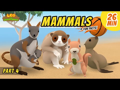 Witness21 Editor  2021 01 09