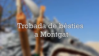 Trobada de Besties a Montgat - Mansuets de Foc