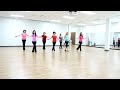 Bottom Of The Bottle Line Dance Dance Teach In English 中文