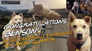 Talking About Dog Butts