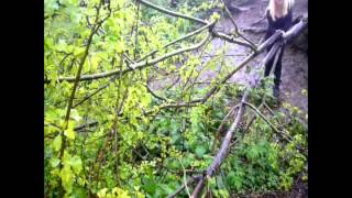 Lose Myself Again - Transmission