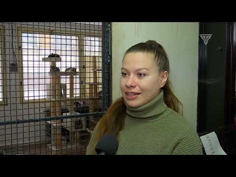 Komáromi Magazin 03/2026