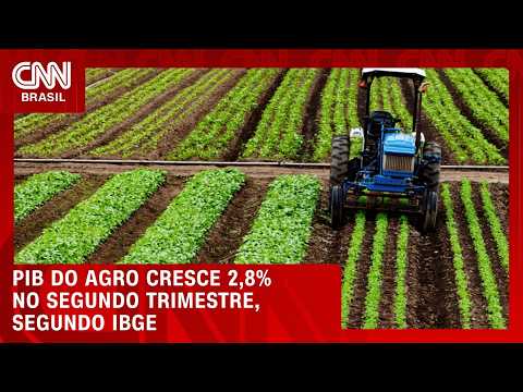 Agro cresce 2,8% no 2º trimestre, acima do ritmo do PIB brasileiro | CNN AGRO NEWS