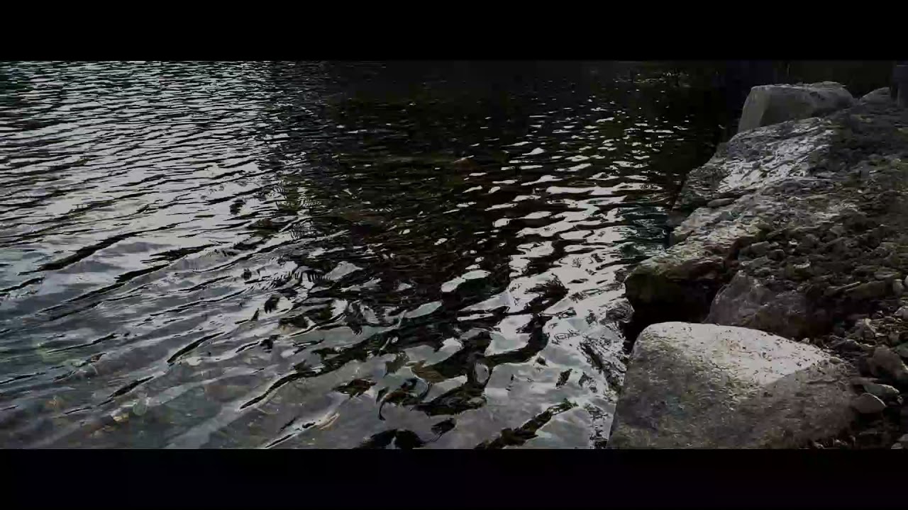 Fatherland - Official Trailer 2