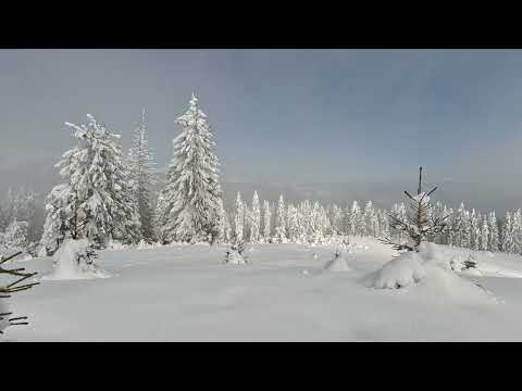 Șaua Portăreasa - M-ții Iezer Păpușa