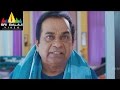 Telugu Comedy Scenes Brahmanandam Comedy Scenes Volume 1 Sri Balaji Video