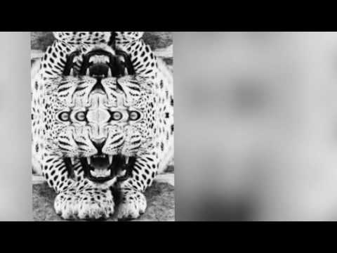 Jose M Garcia D - Jaguar