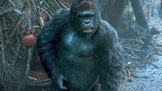 &quot;I Need to Speak to Caesar&quot;  DAWN OF THE PLANET OF THE APES Movie Clip 5