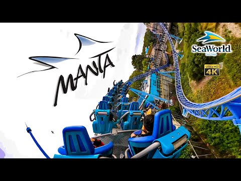 Back row point of view footage of Manta