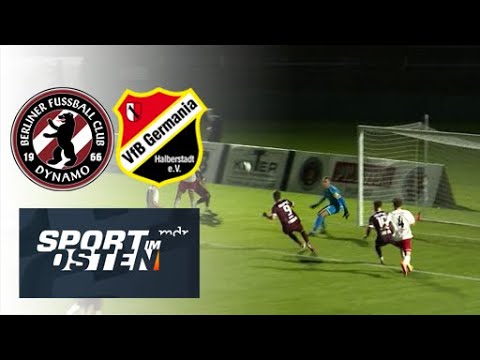 Germania Halberstadt unterliegt dem BFC Dynamo | Sport im Osten | MDR